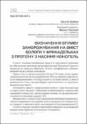 Ескіз