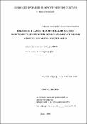 Ескіз