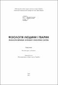 Ескіз