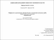 Ескіз