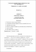 Ескіз