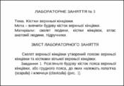 Ескіз