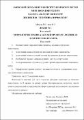 Ескіз