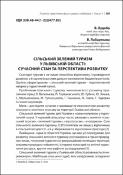 Ескіз
