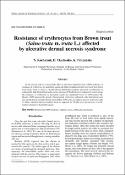 Ескіз